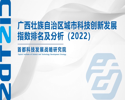 被禽哭晓晓老公【成果发布】广西壮族自治区城市科技创新发展指数排名及分析（2022）